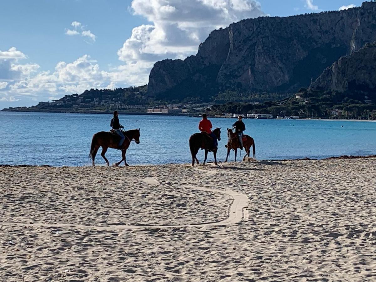 Mondello Luxury Apartamento *